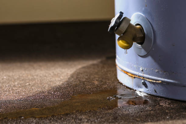 Reliable Hackleburg, AL Water damage restoration Solutions